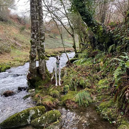 A Casina D,avoa Oseira Affittacamere Osera